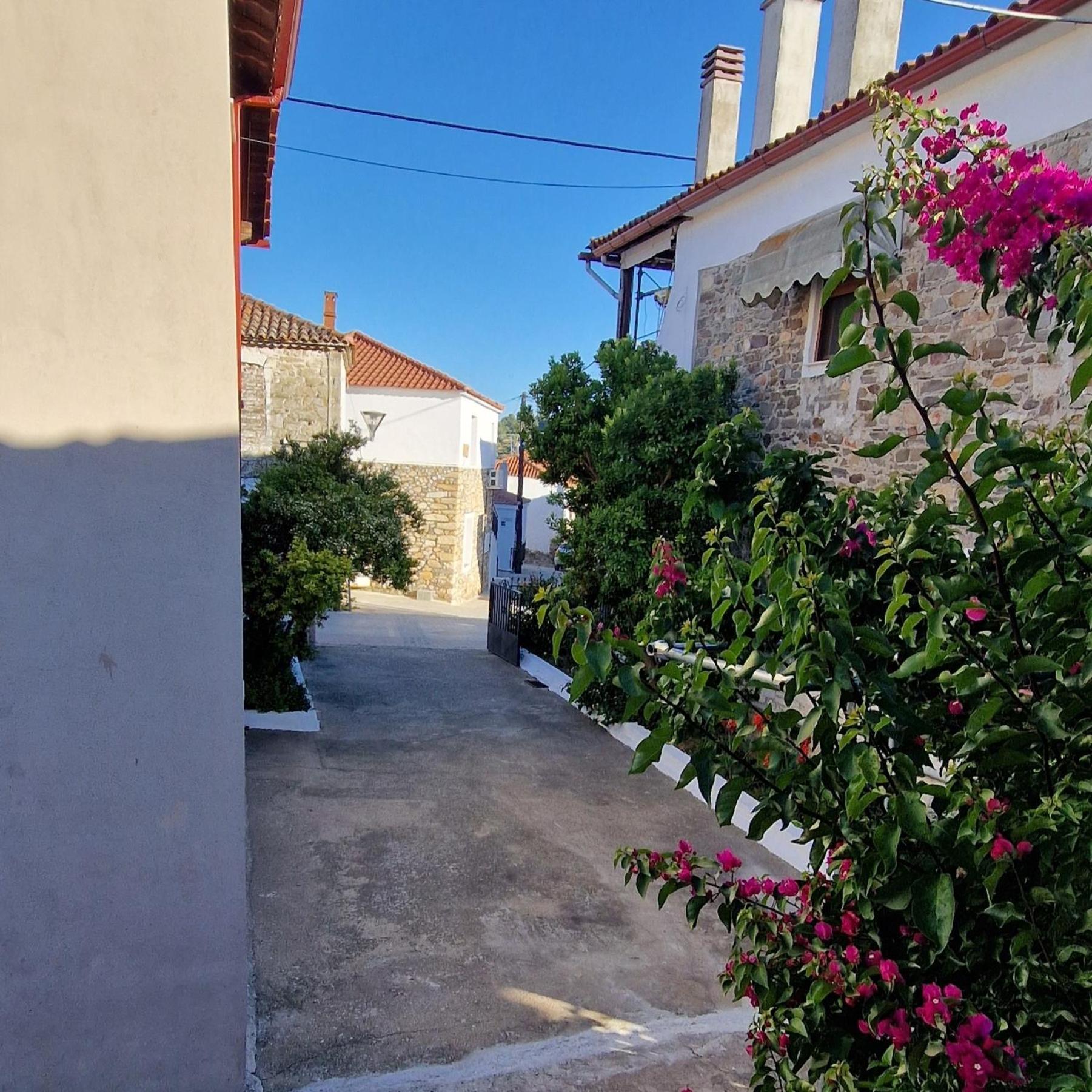 圣尼古拉奥斯Nikolaos House公寓 外观 照片