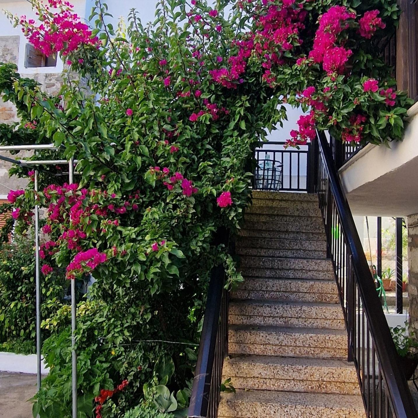 圣尼古拉奥斯Nikolaos House公寓 外观 照片
